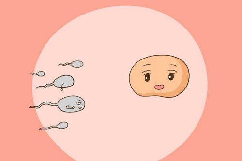 试管婴儿成功率高吗