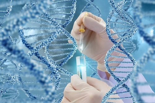 试管婴儿检查有多重要？您还在错过吗？