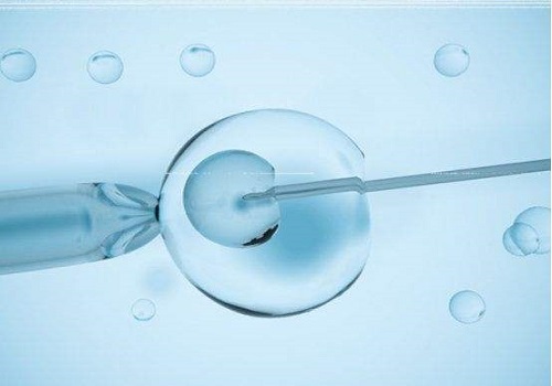 去美国做试管婴儿：胚胎的健康与否由谁来决定？