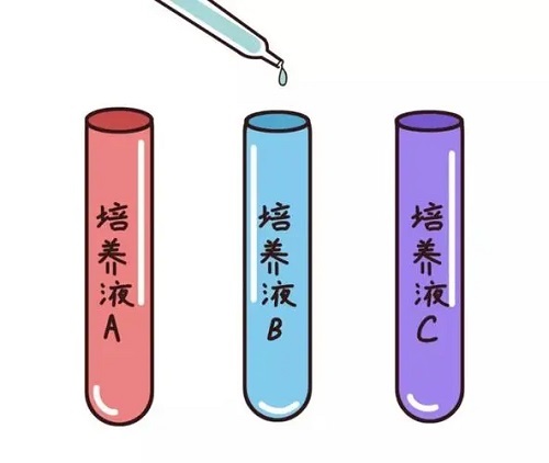 试管婴儿的费用是多少？费用高低受什么因素影响？