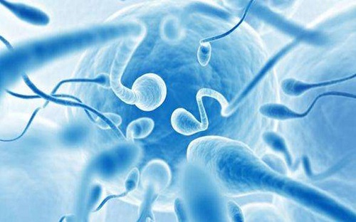 分析：子宫内膜炎影响美国试管婴儿胚胎移植吗？