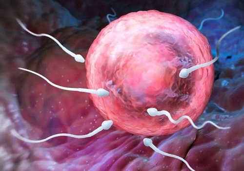 试管婴儿检查有多重要？您还在错过吗？