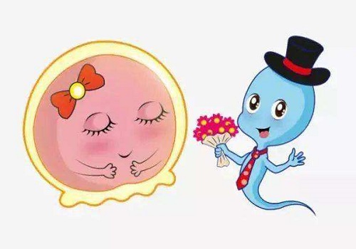 这三种女人不能做试管婴儿？快来看看哪种人不能做？