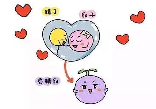 辛苦试管1年失败了，试管婴儿失败的原因，是什么？