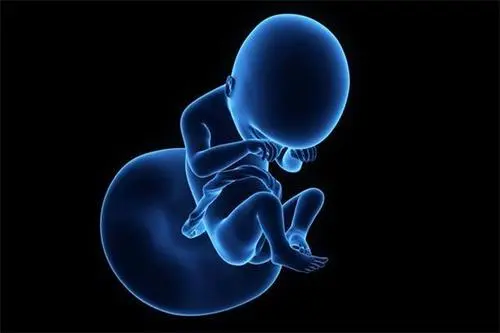 通过三代试管囊胚移植成功率高吗？