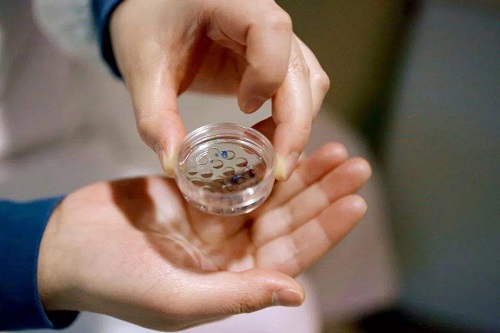 试管婴儿检查什么时候做比较好？月经期还是月经后？