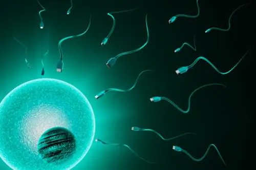 银川试管婴儿成功率排名好，怎么解决输卵管积水？