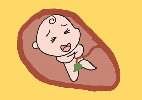 试管婴儿的利与弊