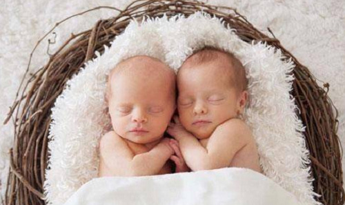 美国试管婴儿：如何提高卵子质量、科学促排卵？