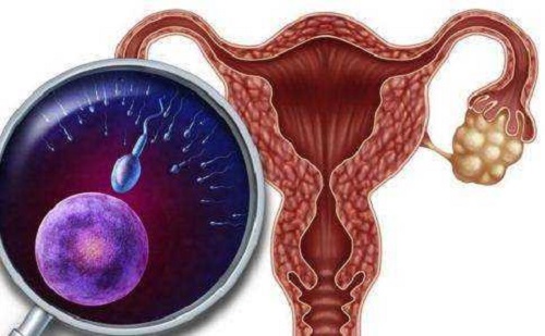 重庆三代试管婴儿排名好，取卵移植周期多少钱？