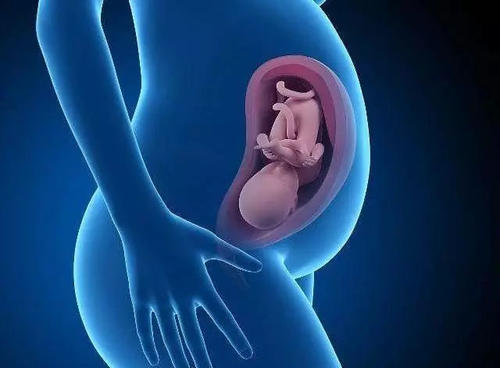 试管婴儿的检查时间该怎么安排？您知道吗？