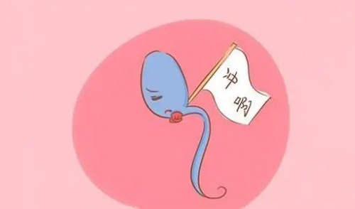 试管婴儿的人能不能报销医保？
