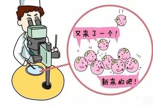 试管婴儿的利弊是什么？来了解下