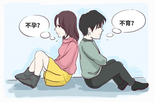 试管婴儿价格多少？会很贵吗？
