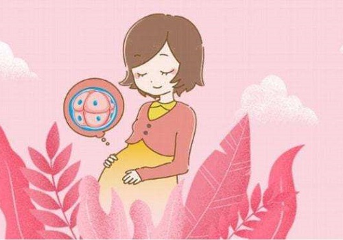 试管婴儿的具体步骤是什么样的？