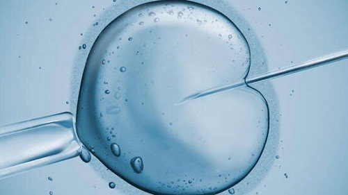 去美国做试管婴儿前想要提高卵子质量，应该怎么做？