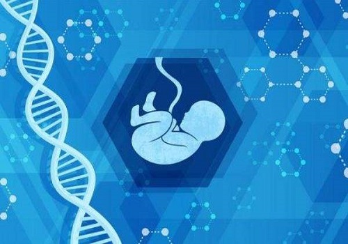 那西安第三代试管婴儿医院费用是多少