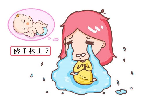 试管婴儿的费用是多少？费用高低受什么因素影响？