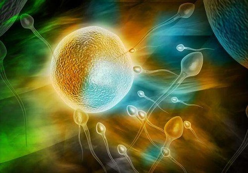 分析：子宫内膜炎影响美国试管婴儿胚胎移植吗？