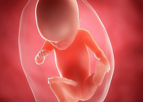 四次囊胚移植都失败是什么原因？美国试管专家探求真相